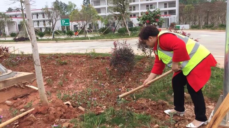 唐姐参加本地公益与团队行动